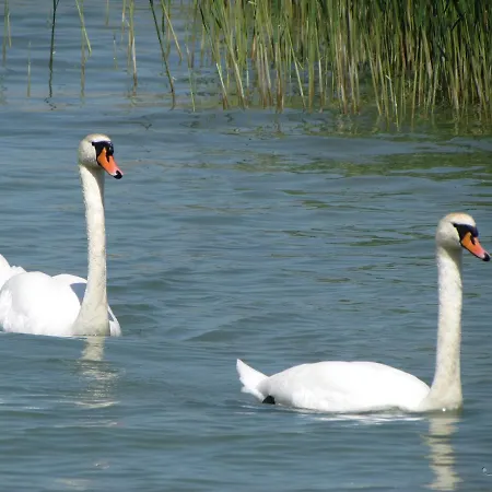 Club 218 Wellness * シオーフォク