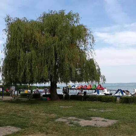 Daire Club 218 Wellness